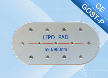 機械、女性のための脂肪質の取除く機械を細くする非 Lipo 侵略的なレーザー